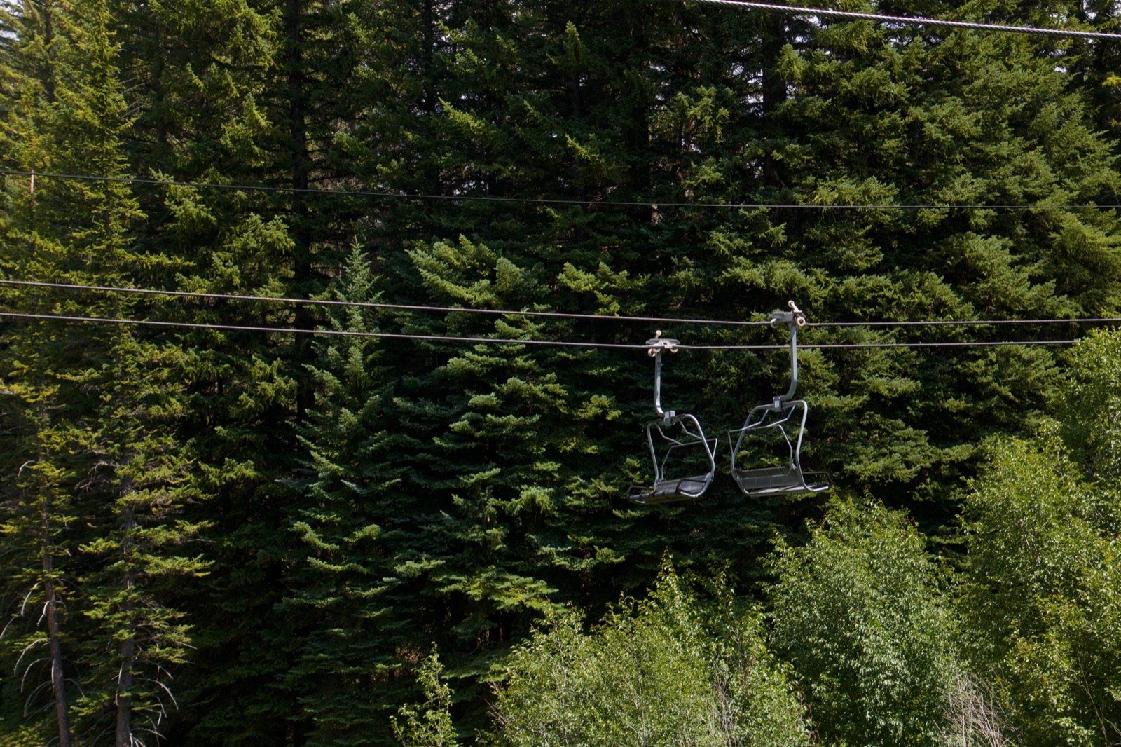 Two empty chairlift seats side by side, riding above a summer pine forest